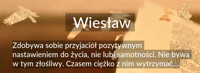 Znaczenie imienia Wiesław