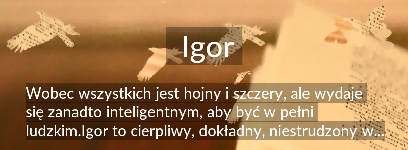 Znaczenie imienia Igor