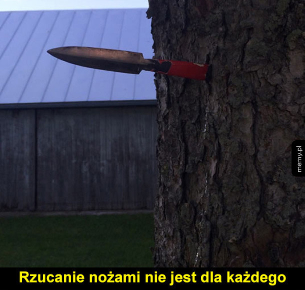 W sumie, wbił się...