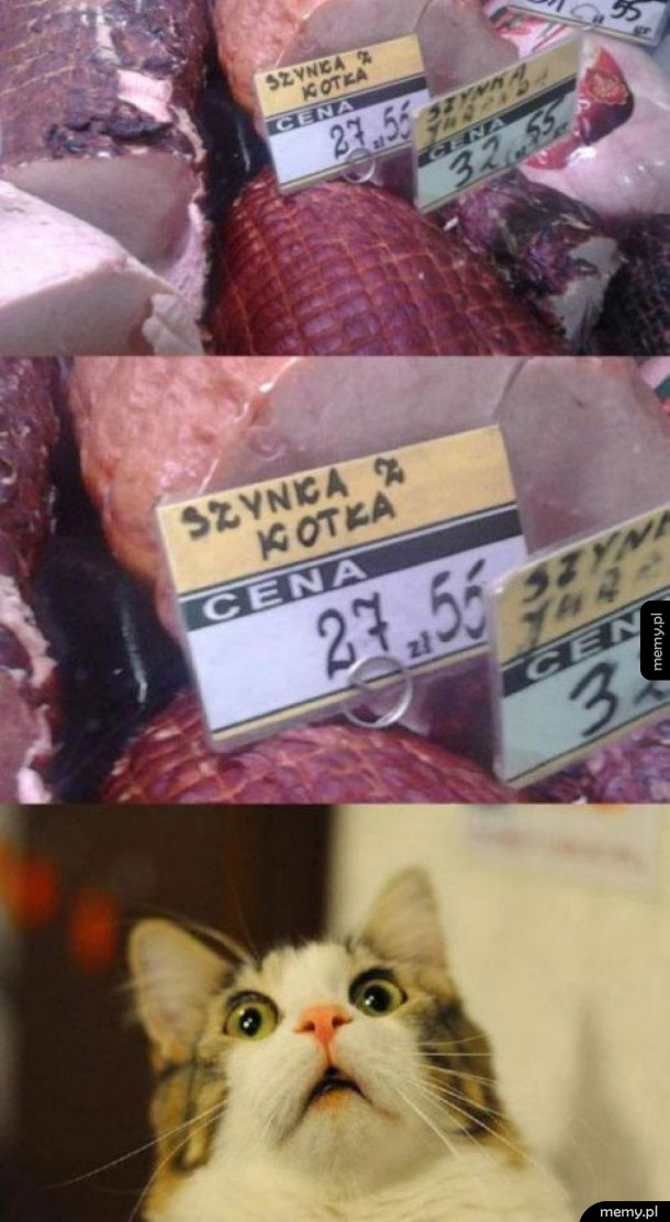 Szynka z kota