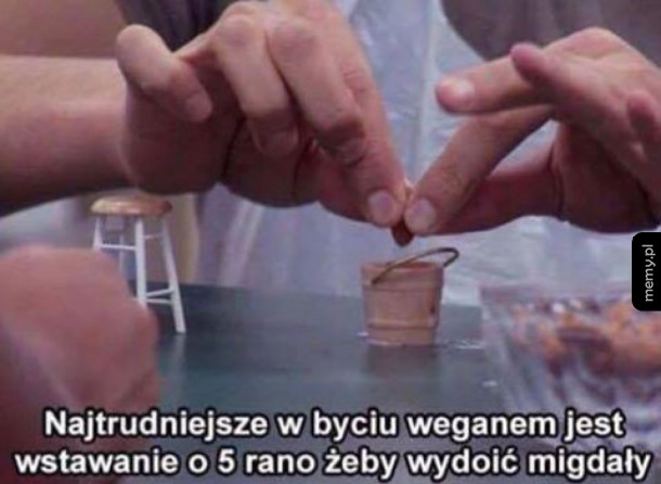Problemy wegan