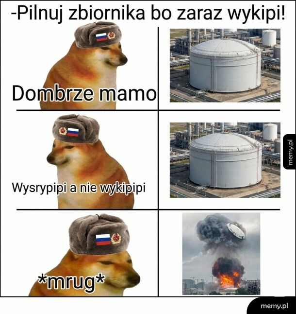 Pies w czapce wojskowej obserwuje zbiornik, który może wybuchnąć.
