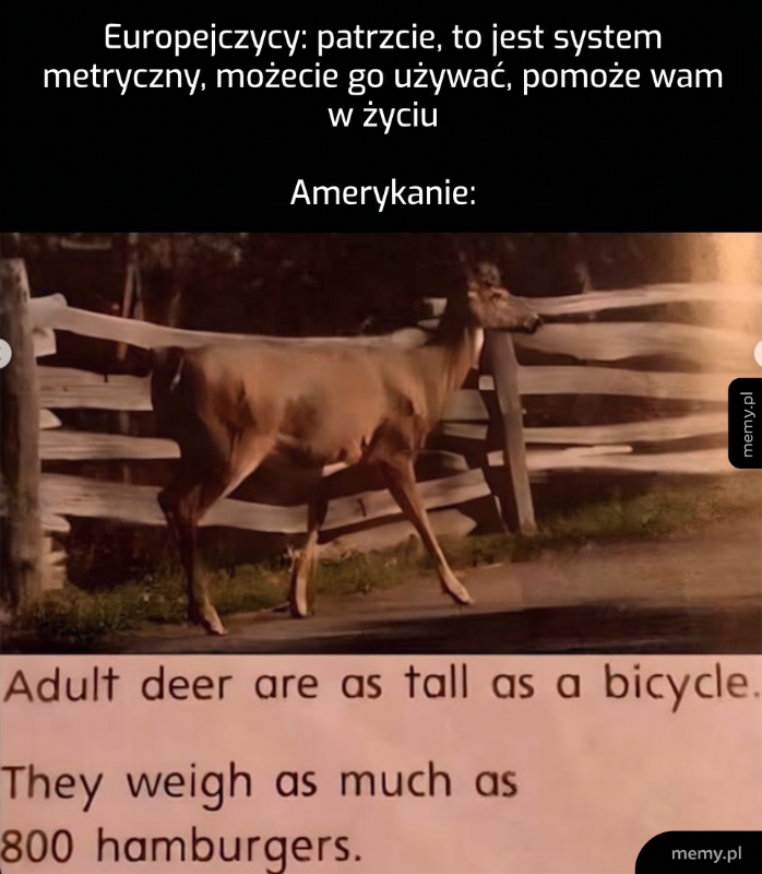 Sarna stojąca obok ogrodzenia, z tekstem o jej rozmiarze i wadze.