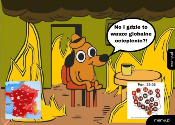 Pies w kapeluszu siedzi przy stole w płonącym pomieszczeniu.