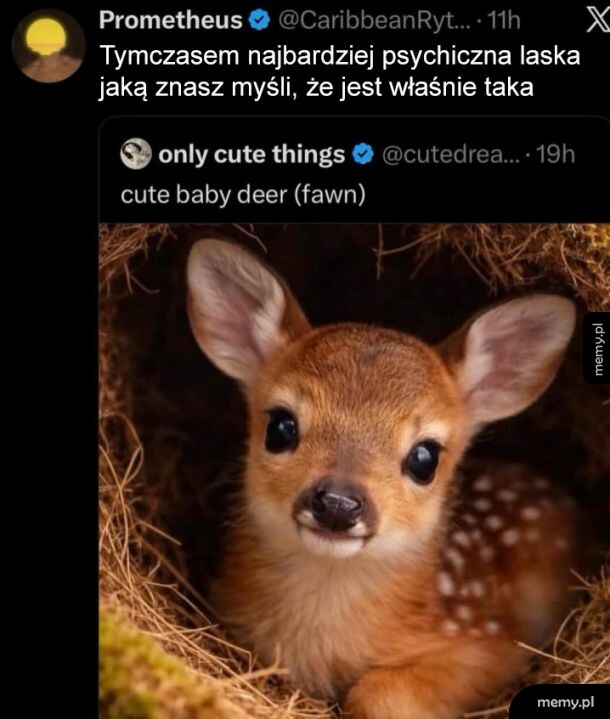 Młode sarny z dużymi oczami w leśnym otoczeniu.