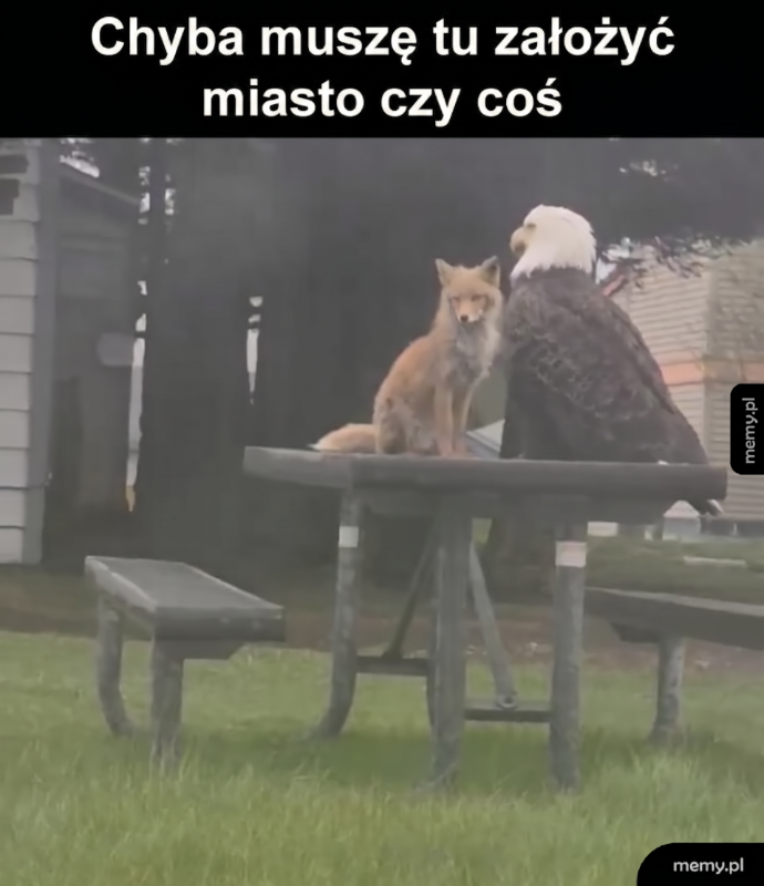 Kraj od razu