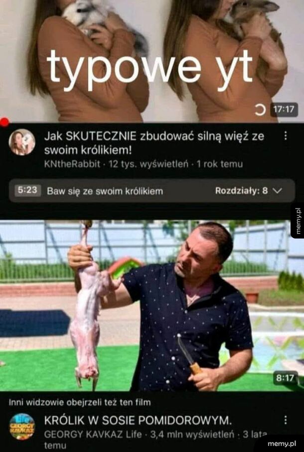 Dwa filmy na YouTube z królikami, jeden z komentarzem o budowaniu więzi.