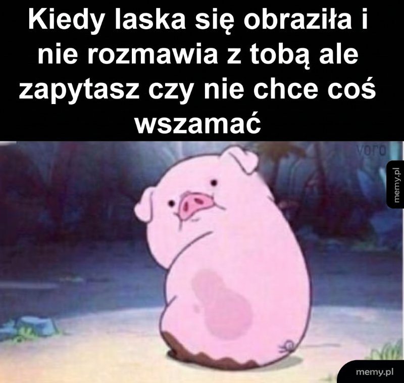 Różowa świnka z wyrazem smutku na tle.