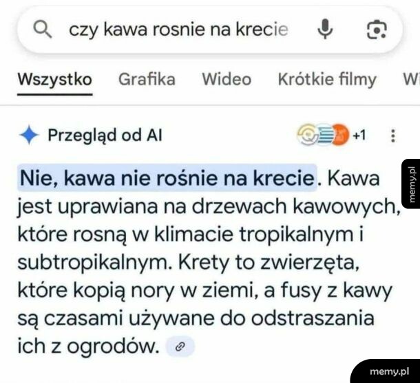 Tekst na tle białym z niebieskimi akcentami, dotyczący kawy i kreta.
