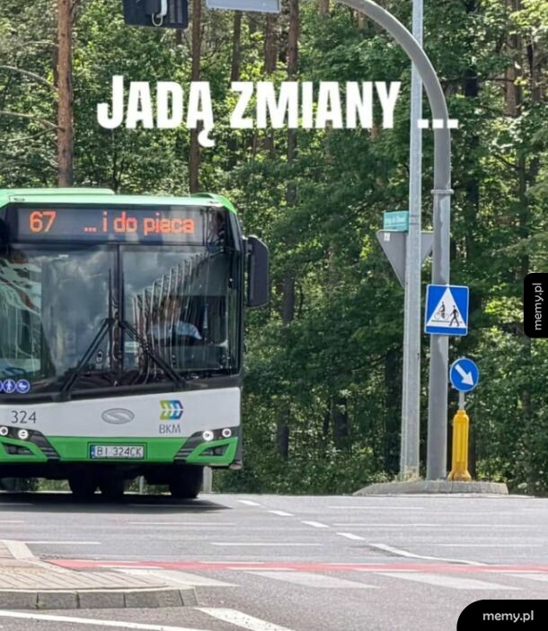 Autobus na przystanku w lesie, z widocznym numerem 67.