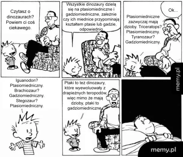 Dzieciak rozmawia z dorosłym o dinozaurach i ich klasyfikacji.