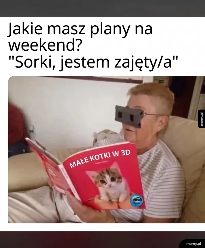 Osoba w okularach 3D czytająca książkę o kotach.