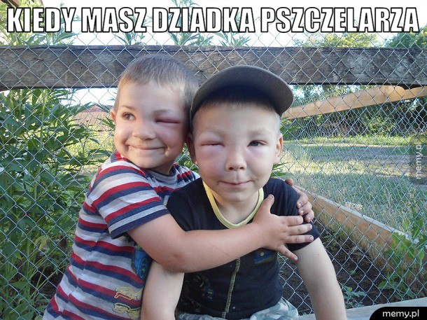 Dziadek pszczelarz