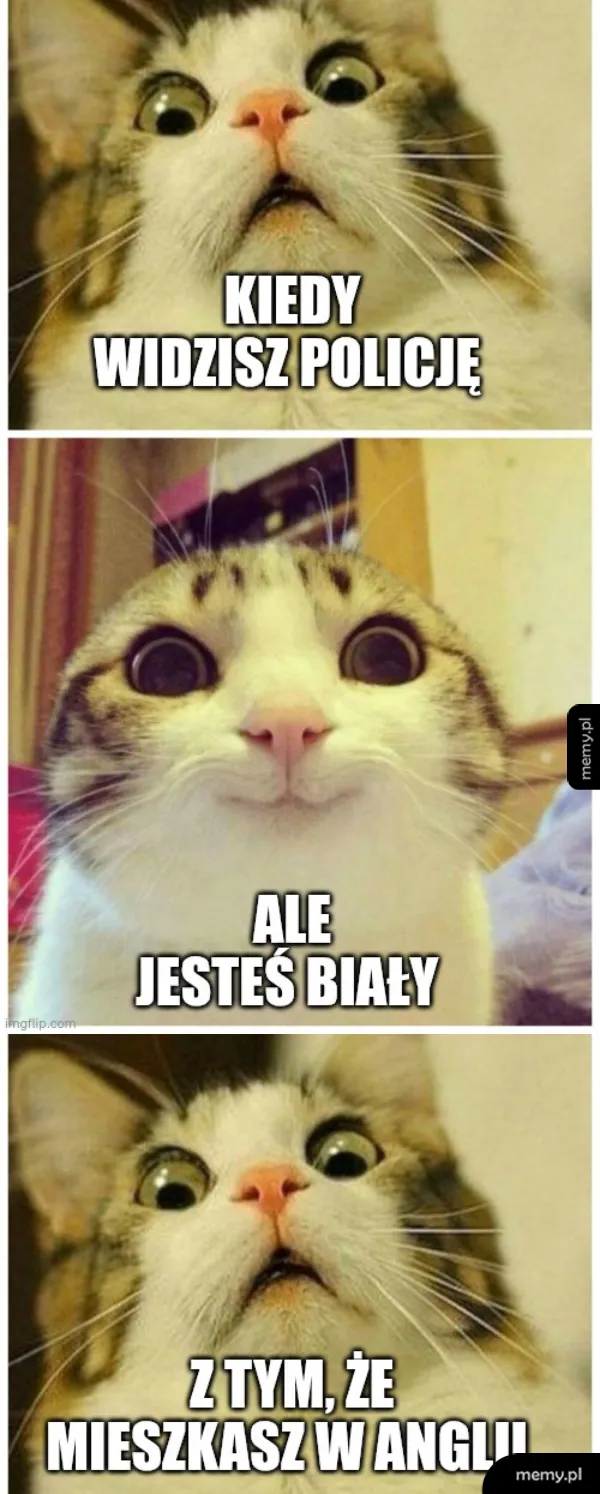 Nie ma żadnej inwazji...