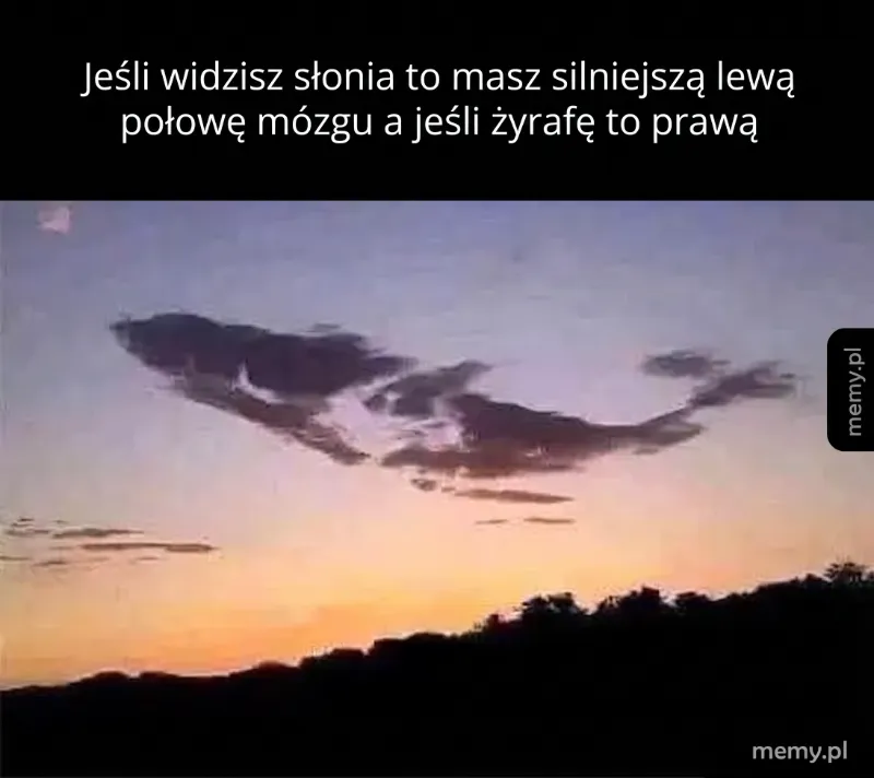 Chmury w kształcie słonia i żyrafy na tle nieba.