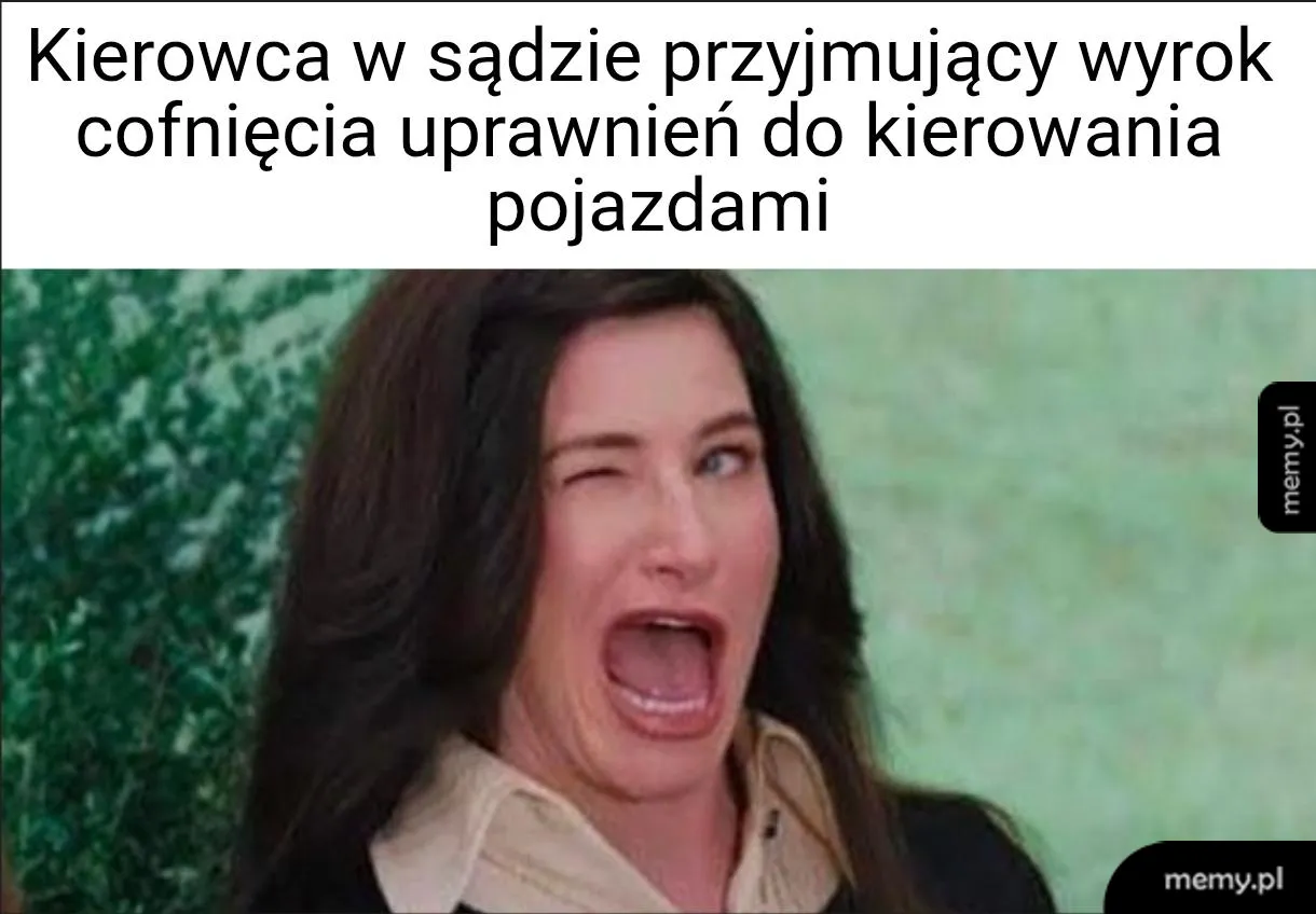 Polski obywatel wyrok sądu szanuje