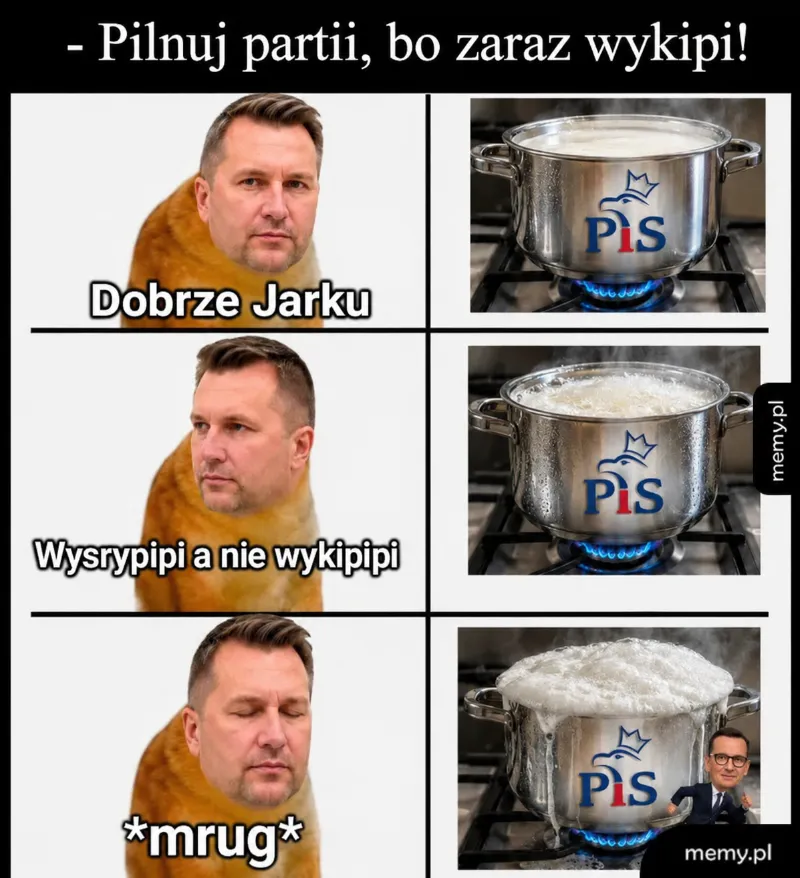 Kucharz pilnujący gotującego się garnka z logo PiS.