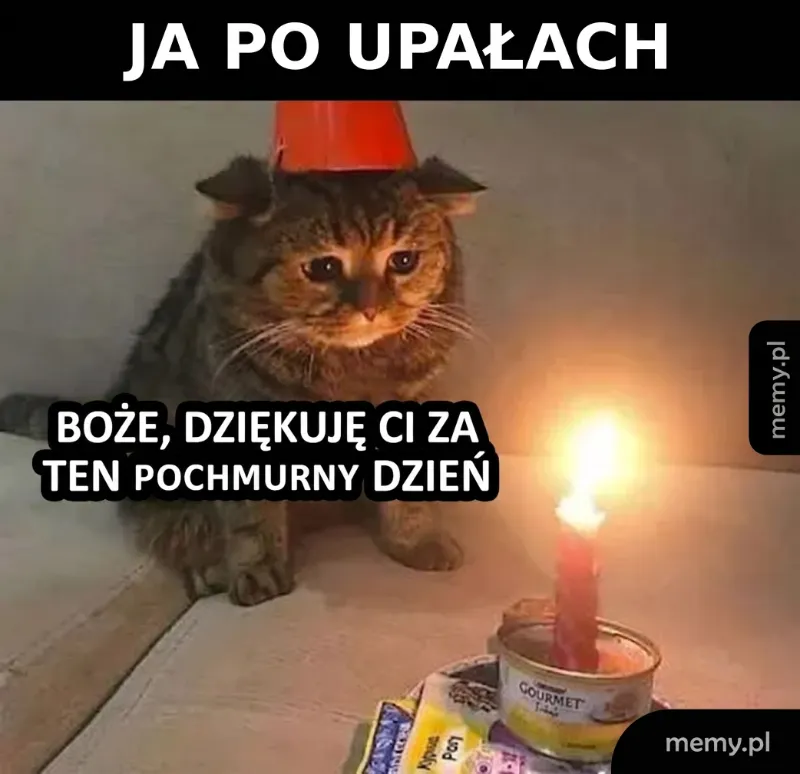 Kot w czerwonym kapeluszu siedzi obok świeczki na stole.