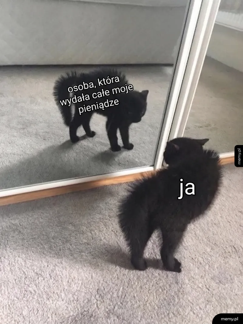 Konfrontacja z największym wrogiem mojego konta bankowego 👁️👄👁️💸