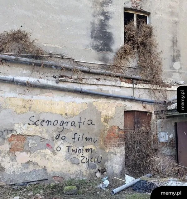 Zniszczona ściana budynku z widocznymi roślinami i graffiti.