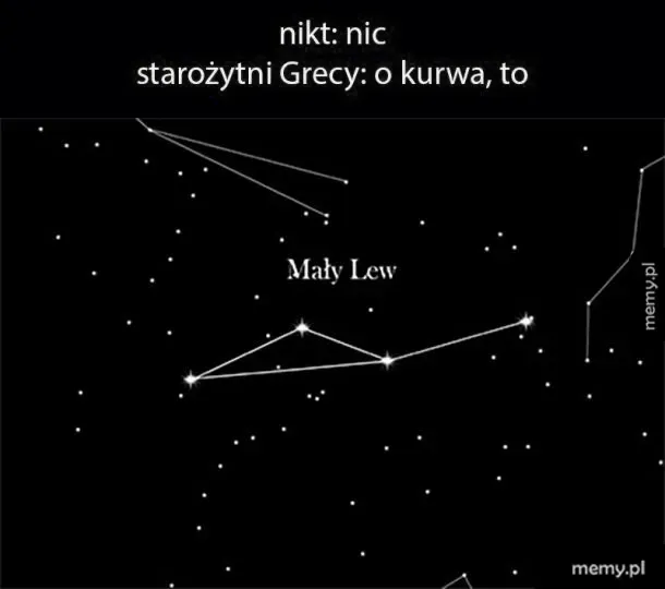 Wygląda zupełnie jak lew