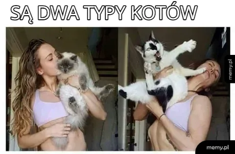 Kobieta trzyma dwa różne koty, jeden spokojny, drugi zdezorientowany.