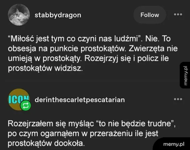 Prostokąty