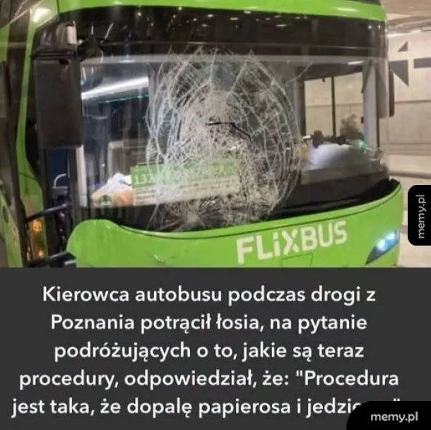 Rozbita przednia szyba zielonego autobusu Flixbus z widocznym napisem na dole.