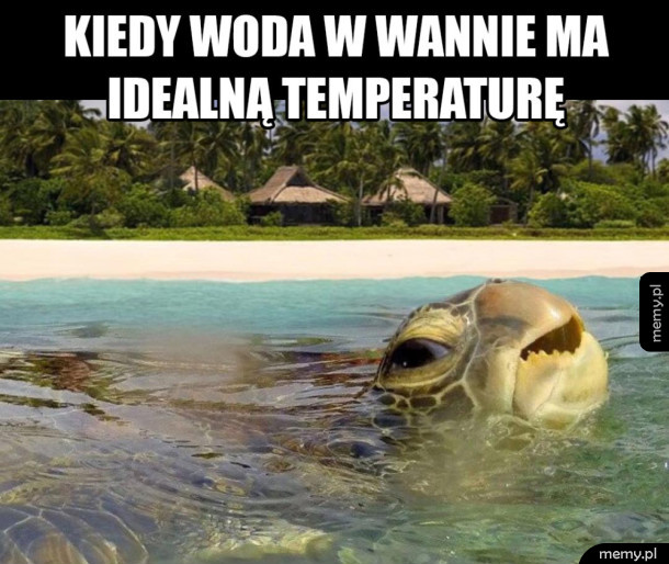 Idealna kąpiel