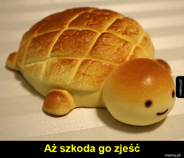 Żółwik