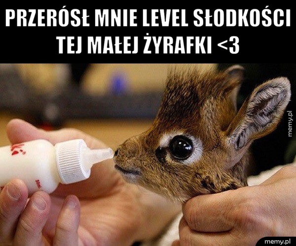     Cudna!