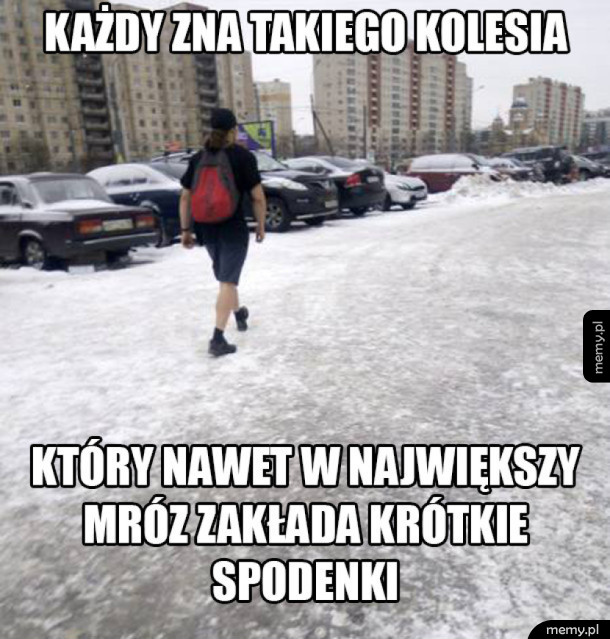 Każdy zna takiego kolesia