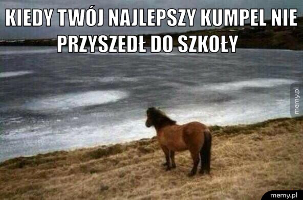 Najlepszy kumpel