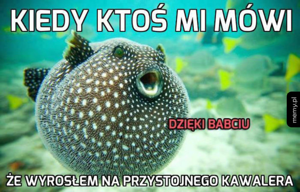 Duma mnie rozpiera