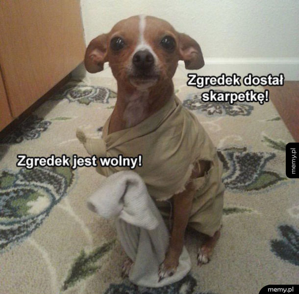 Zgredek