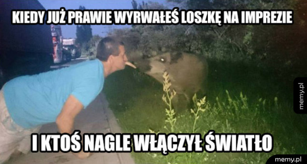 Kiedy już prawie wyrwałeś loszkę
