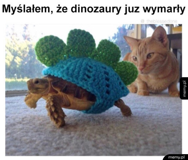 Ostatni dinozaur