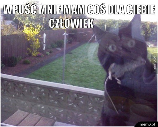 Jaki miły