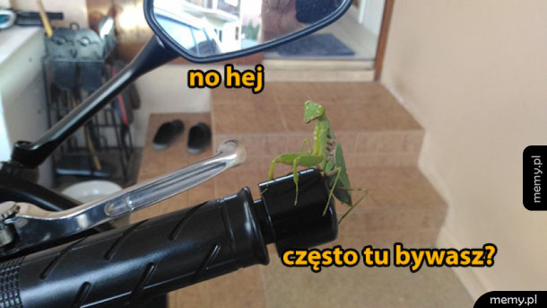 No hej