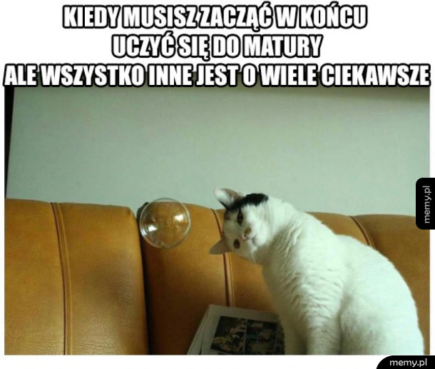 Wszystko tylko nie nauka