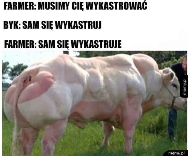 Twardy gość