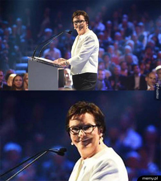    Typowy kopacz