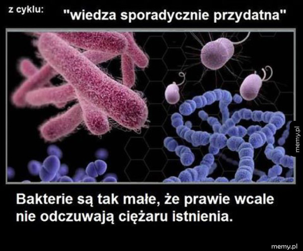 Wiedza sporadycznie przydatna