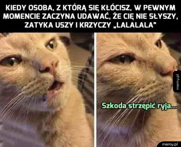 Dyskusja nie ma sensu
