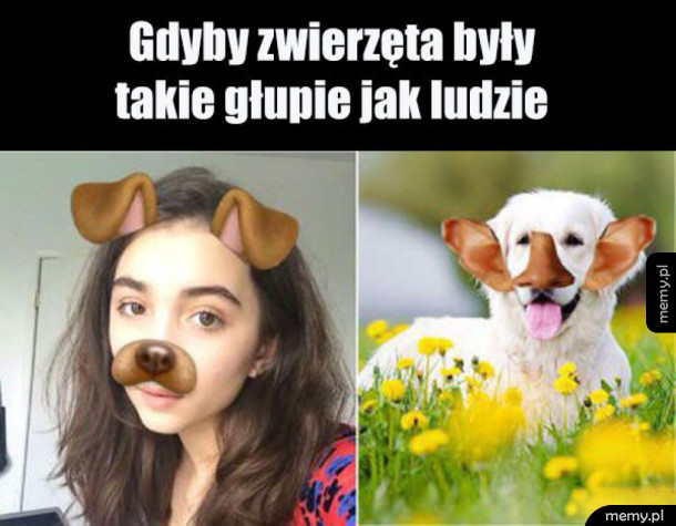 Apka dla zwierząt