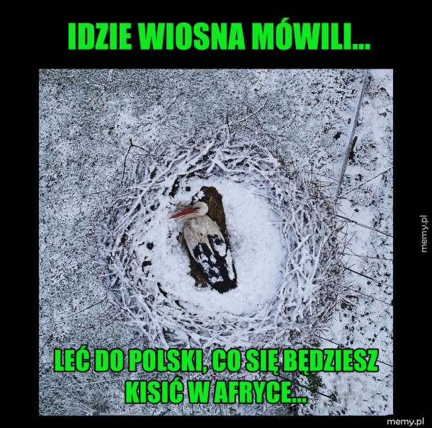 Idzie wiosna...