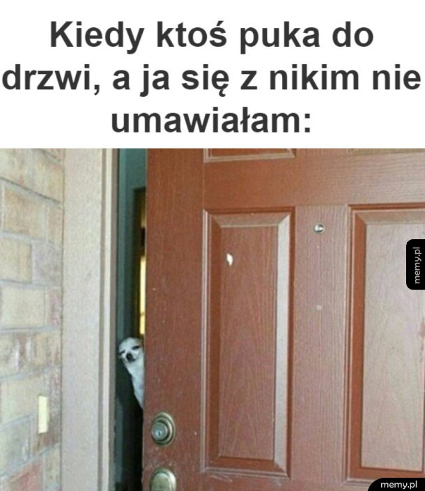 Kto ty jesteś?