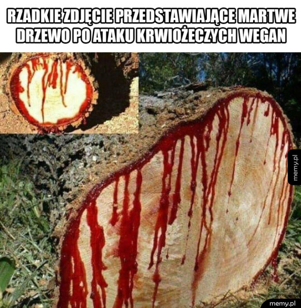 Biedne drzewo