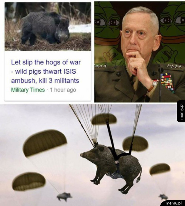 Problem z ISIS rozwiązany