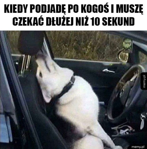 Ile można czekać